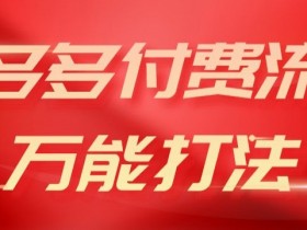 2024多多付费流万能打法、强付费起爆、流量逻辑、高转化、高投产【揭秘】