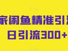 独家闲鱼精准引流，日引流300+【揭秘】