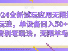 2024全新试玩应用无限撸金玩法，单设备日入50+，告别老玩法，无限羊毛【揭秘】
