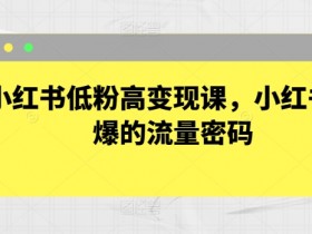 小红书低粉高变现课，小红书必爆的流量密码