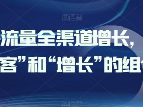 引爆流量全渠道增长，打好“获客”和“增长”的组合拳