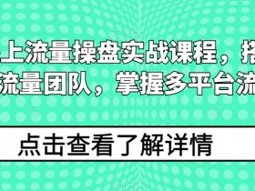 2024线上流量操盘实战课程，搭建高人效流量团队，掌握多平台流量