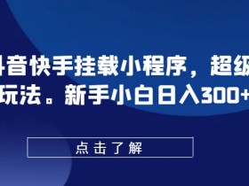 0粉抖音快手挂载小程序，超级变脸玩法，新手小白日入300+【揭秘】