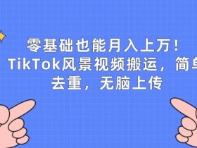 零基础也能月入上w，TikTok风景视频搬运，简单去重，无脑上传【揭秘】