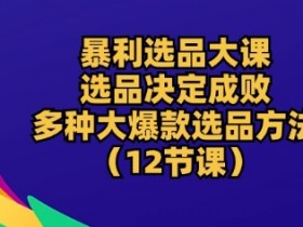 暴利选品大课：选品决定成败，教你多种大爆款选品方法(12节课)