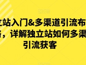 独立站入门&多渠道引流布局策略，详解独立站如何多渠道引流获客