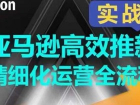 亚马逊高效推新精细化运营全流程，全方位、快速拉升产品排名和销量!