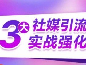 3大社媒引流实战强化，多渠道站外引流，高效精准获客，订单销售额翻倍增长