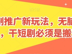 短剧推广新玩法，无脑搬运，干短剧必须是搬运【揭秘】