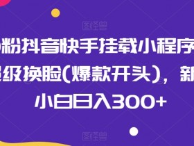 0粉抖音快手挂载小程序，超级换脸(爆款开头)，新手小白日入300+【揭秘】