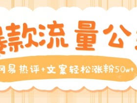 爆款流量公式，网易热评+文案轻松涨粉50w+【揭秘】