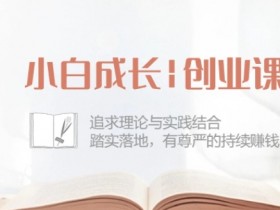 小白成长创业课：追求理论与实践结合，踏实落地，有尊严的持续赚钱-42节