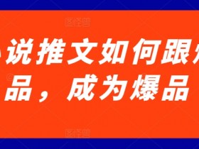 小说推文如何跟爆品，成为爆品【揭秘】