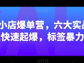 抖音小店爆单营，六大实战篇，7天快速起爆，标签暴力玩法