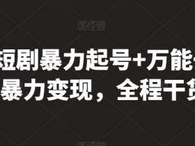 最新短剧暴力起号+万能去重，暴力变现，全程干货【揭秘】