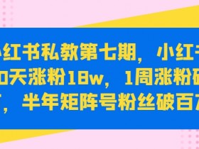 小红书私教第七期，小红书90天涨粉18w，1周涨粉破万，半年矩阵号粉丝破百万