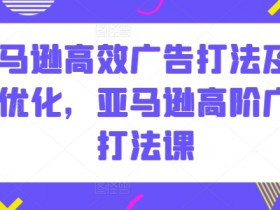 亚马逊高效广告打法及数据优化，亚马逊高阶广告打法课