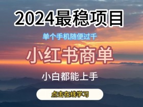 2024最稳蓝海项目，小红书商单项目，没有之一【揭秘】