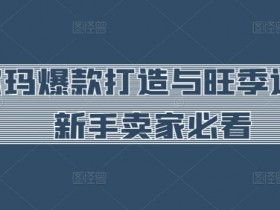 沃尔玛爆款打造与旺季运营，新手卖家必看