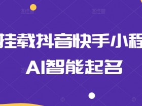 0粉挂载抖音快手小程序，AI智能起名