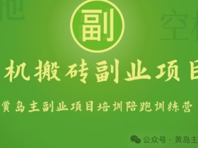 手机搬砖小副业项目训练营1.0，实测1小时收益50+，一部手机轻松日入100+