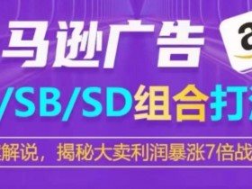 亚马逊SP/SB/SD广告组合打法，揭秘大卖利润暴涨7倍战术