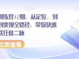 小红书训练营12期，从定位、到起号、到变现全路径，带你快速打通爆款任督二脉