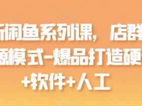 最新闲鱼系列课，店群无货源模式-爆品打造硬件+软件+人工