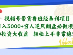 视频号带货鲁班经暴利项目，穷人逆风翻盘必做项目，0投资大收益轻松上手非常稳定【揭秘】
