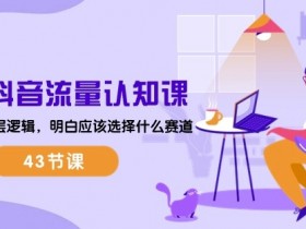 2024抖音流量认知课：掌握流量底层逻辑，明白应该选择什么赛道 (43节课)