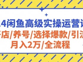 2024闲鱼高级实操运营课程：开店/养号/选择爆款/引流/月入2万/全流程
