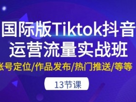 国际版Tiktok抖音运营流量实战班：账号定位/作品发布/热门推送/等等-13节