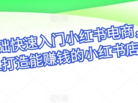 零基础快速入门小红书电商，从0-1打造能赚钱的小红书店铺