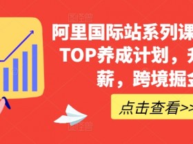 阿里国际站系列课，运营TOP养成计划，升职加薪，跨境掘金