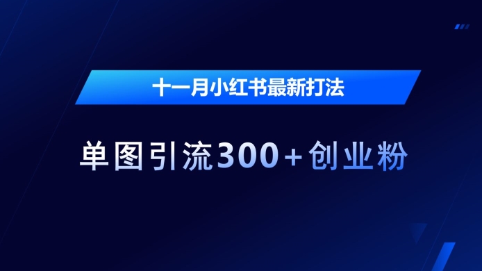 十一月小红书最新打法，单图引流300 创业粉