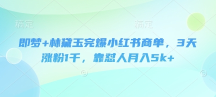 即梦 林黛玉完爆小红书商单，3天涨粉1千，靠怼人月入5k