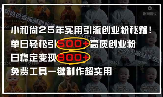 （14436期）小和尚2025年实用引流秘籍！单日轻松引500 高质量创业粉，日变现800 ，