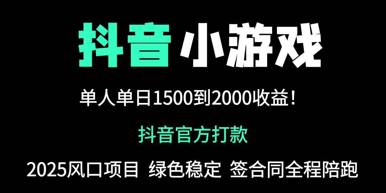 （14527期）抖音官方小游戏2025全网最新玩法，暴利赚钱项目，单机日入2000 ，绝不