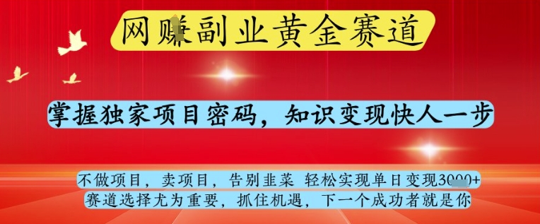 网创副业黄全赛道，掌握独家项目密码，知识变现快人一步，告别韭菜轻松实现单日变现1k 【揭秘】