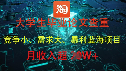 大学生毕业论文查重，暴利蓝海项目，月收入过1W