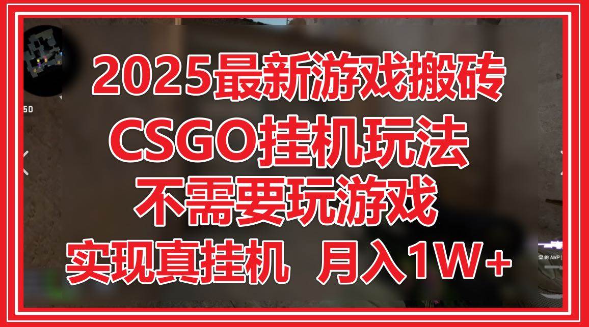 （14743期）2025最新游戏搬砖，CSGO自动运行，不需要玩游戏，实现真自动运行，月入1W